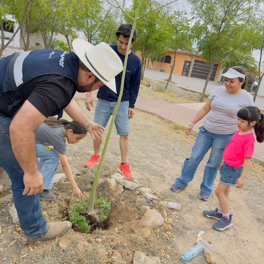 Plantando